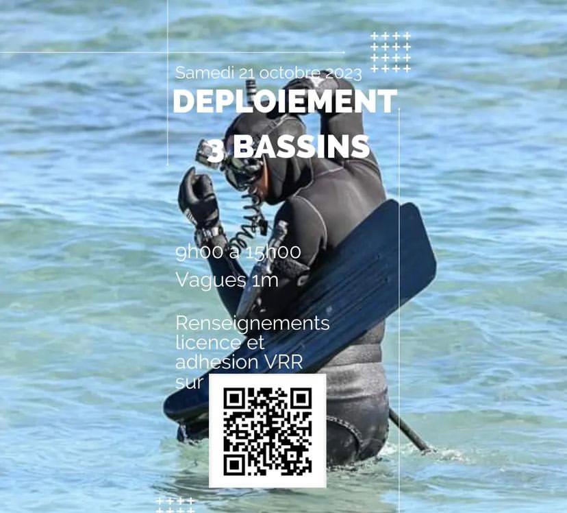 vigie requin réunion